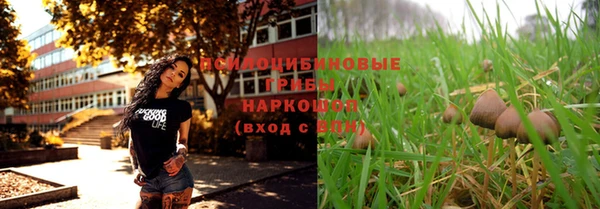 дурь Горно-Алтайск