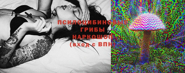 дурь Горно-Алтайск