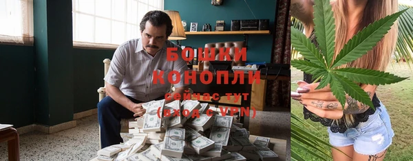 дурь Горно-Алтайск