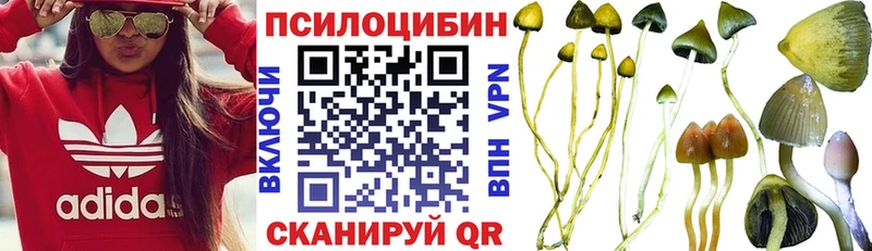 Псилоцибиновые грибы Psilocybe  Купить где  Кизел 